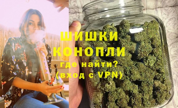 трава Осинники