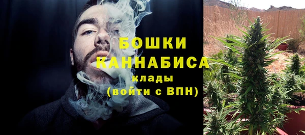 ECSTASY Абаза