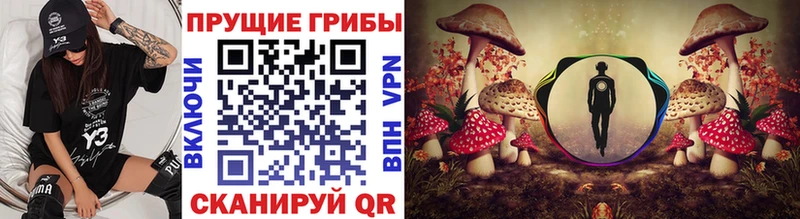купить наркотик  darknet официальный сайт  Псилоцибиновые грибы Psilocybine cubensis  Чишмы 