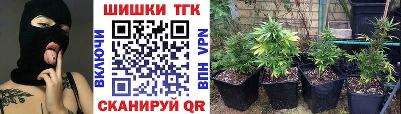 МАРИХУАНА гибрид  Чишмы 